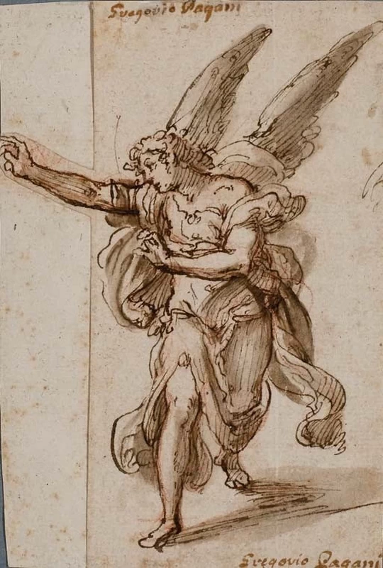 Studio di angelo